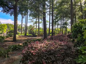 St. James Plantation