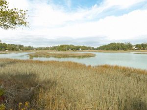 Tidewater at Ocean Isle